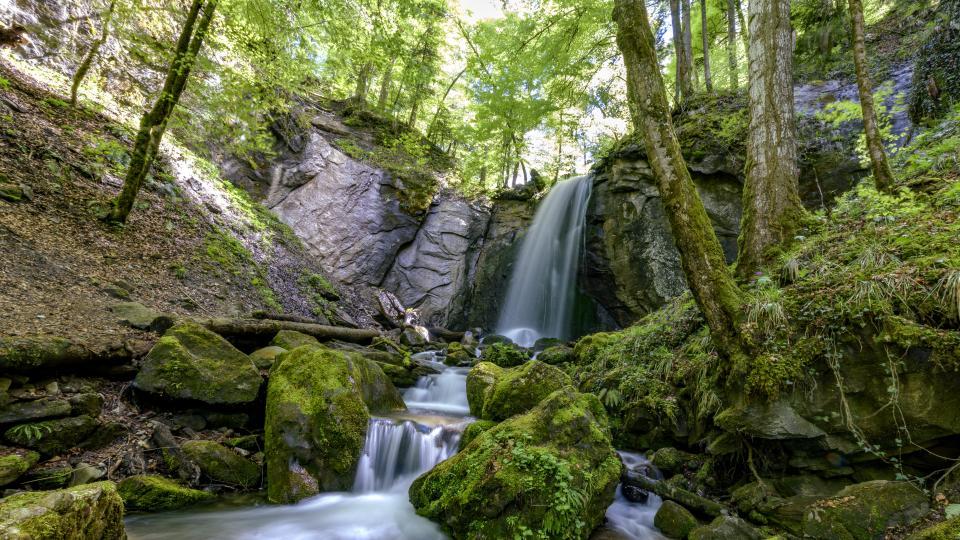 Der Mühlibach fällt bei Finstersee über eine Klippe im grünen Laubwald.